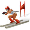 Skiing and Snowmobilling Icon